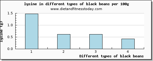 black beans lysine per 100g